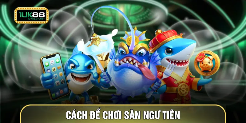 Cách để chơi săn ngư tiên