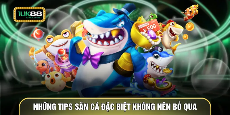 Những tips săn cá đặc biệt không nên bỏ qua