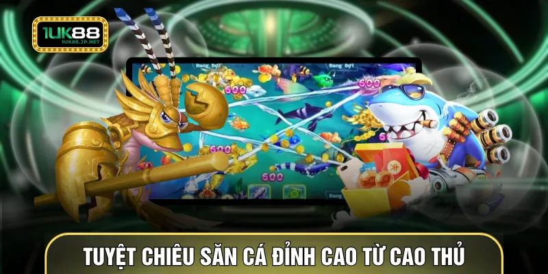 Tuyệt chiêu săn cá đỉnh cao từ cao thủ